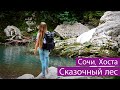 Сочи. Очень красивое место в Хосте! Сказочный лес Тисо-самшитовой рощи