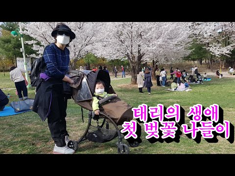 태리의 생애 첫 벚꽃나들이 The first cherry blossom outing of Taeli&rsquo;s life