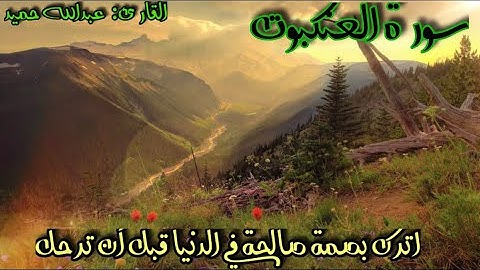 تلاوة مؤثرة لأبعد الحدود لسورة العنكبوت🕸 | القارئ عبدالله حميد