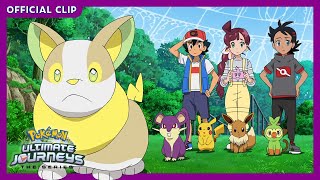 Yamper, the best helpful pup | Pokémon Ultimate Journeys: The Series | Official Clip