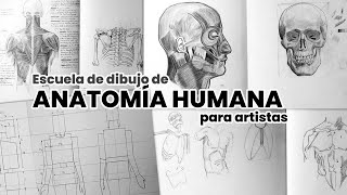 Cómo dibujar el cuerpo humano (Paso a Paso)