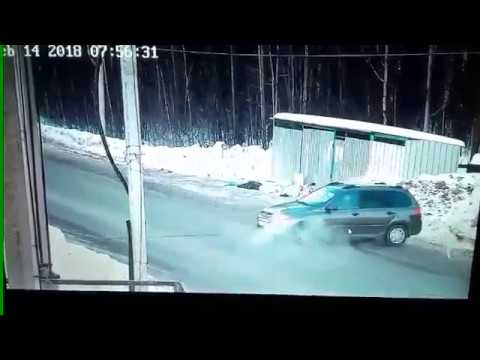 Водитель спас школьницу от стаи бездомных собак в Ижевске