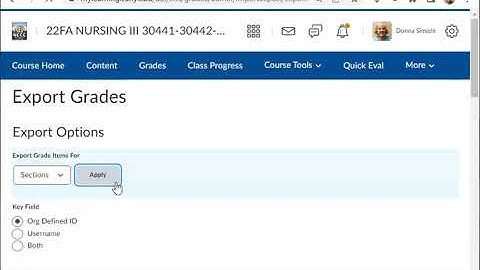 Exporting Your Brightspace Grade Book