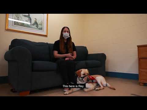 Videó: Tanítsd meg a kutyádat, hogy szeretni fog hozzátok