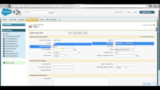 Auto Capitalize Your Data (Salesforce) Wealth