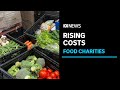 Food charity is paying 8 times more to produce meals  abc news