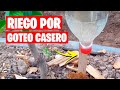 Riego por Goteo Casero | Muy Fácil