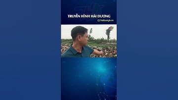 Đốt rác gây ô nhiễm môi trường ở xã Thanh Hồng #shorts