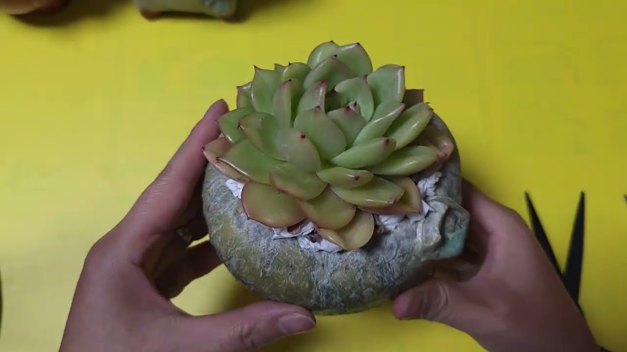 2026.2.8 어머~~나를 칭찬해 ☆☆