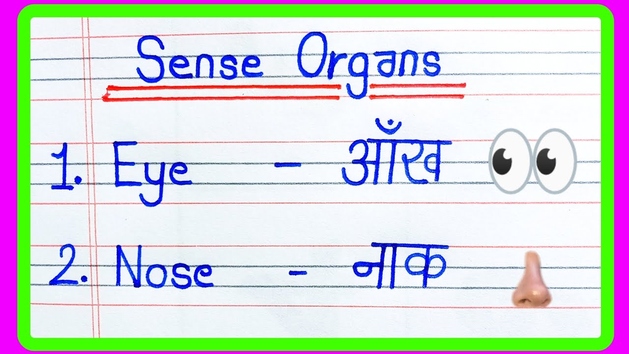 5 Sense Organs Sense Organs Five Sense Organs Name Sense Organs 5-sense-organs-sense-organs-five-sense-organs-name-sense-organs
