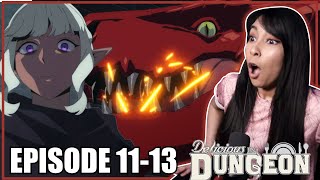 The Red Dragon! WHAT HAPPENED TO FALIN! | Delicious in Dungeon Episode 11-13 Reaction!