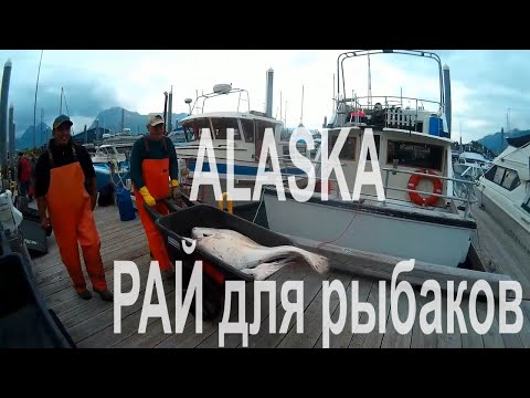 Видео: Валдез, Аляска: Земля мечты