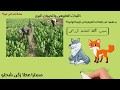 الصف السادس الابتدائى البيئة الزراعية (الترع والقناطر والسد) أهم جزء