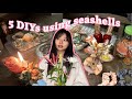 5 DIYs using seashells *ੈ⭒˚⋆🪼 ೃ࿔*:・