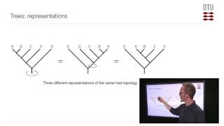 Trees: Terminology and Representation