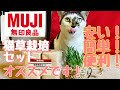 無印良品・猫草栽培セット！安い簡単便利オススメします！