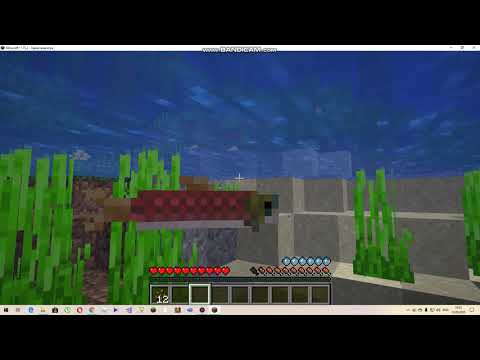 როგორ ჩემი დაიკო თამაშობს minecraft