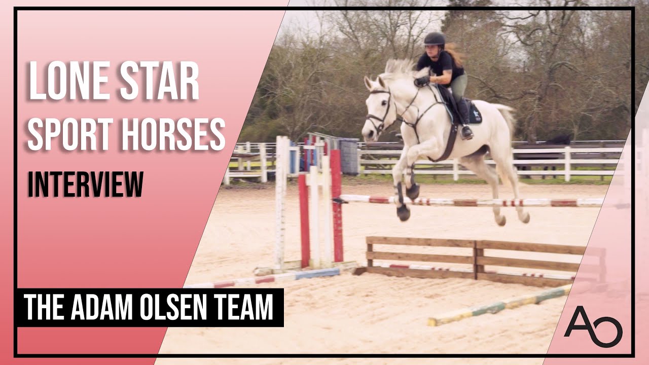 From Foal to Finish Line | Behind the Scenes at Lone Star Sport Horses