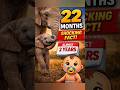 Elephant Pregnancy_ The 22-Month Journey #amazinganimals #viralshort