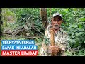 LANGSUNG NARIK 3 LEMBAT MONSTER...