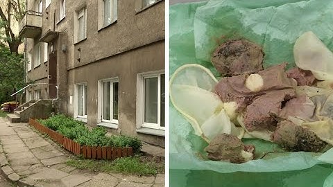 Bijo į lauką vesti augintinius – sostinėje šunys nuodijami paštetu su tabletėmis