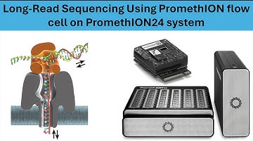 Introduction to PromethION24 and how to use it for RNA cDNA-PCR sequencing