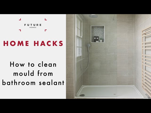 Hack to keep products from creating mold in the shower : r/CleaningTips