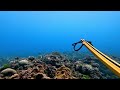 From the Deep to the Reef - Diving Eastern Guam