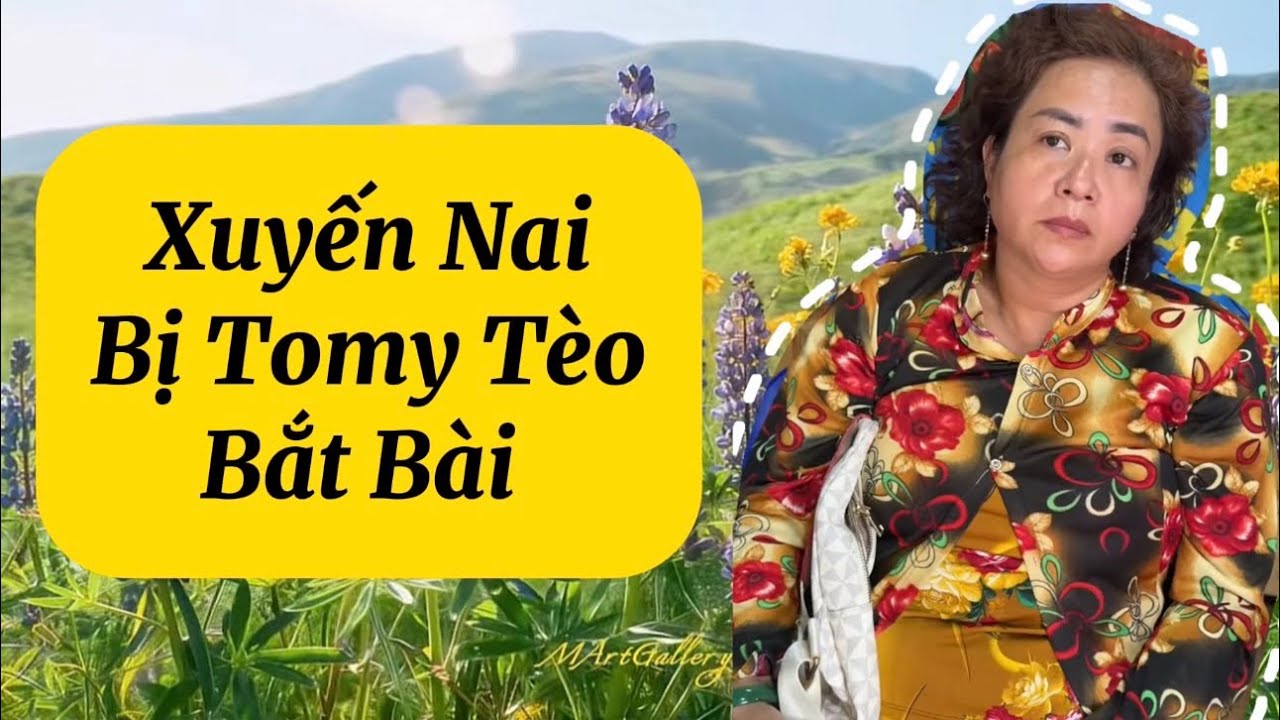 Xuyến Nai bị Ông Tomy Tèo Bắt Bài
