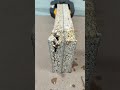 #woodworking #experiment #hack #wood #shorts