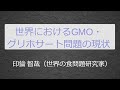 「世界におけるGMO・グリホサート問題の現状」印鑰 智哉（世界の食問題研究家）