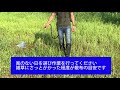 ラウンドアップマックスロード専用ノズル ULV5 実演動画