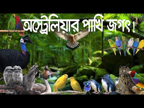 ভিডিও: হার্বিংগার থেকে সংকোচনের পার্থক্য কীভাবে করা যায়