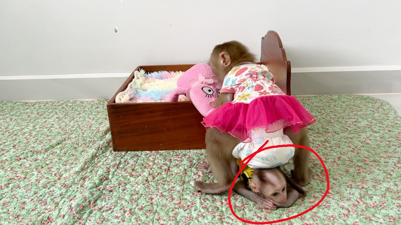 So Stranger Emma Sit Grooming BB Tauch While Wait Mom Coming