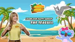 The Truth About Seagulls: Smarter Than You Ever Imagined