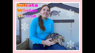 Sulcata Tortoise Winter Housing