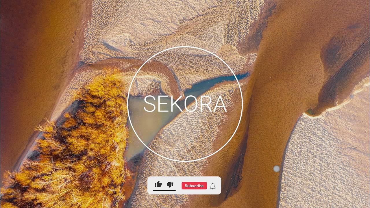 Diplo & Mat Joe Conga Rock YouTube