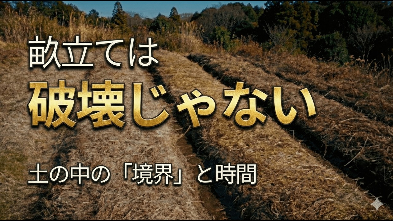 【自然農】土を動かすのが怖いあなたへ｜畝立ては破壊ではない