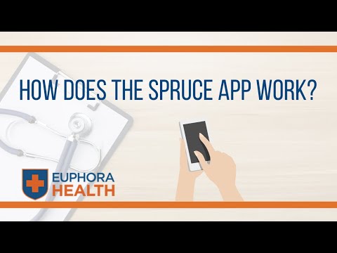 How Does the Spruce App Work?