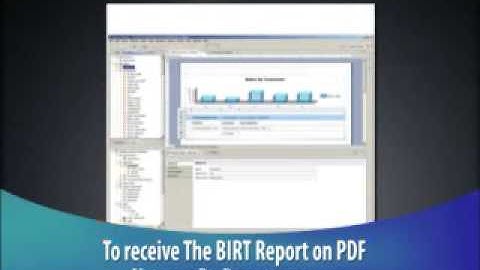 The BIRT Report
