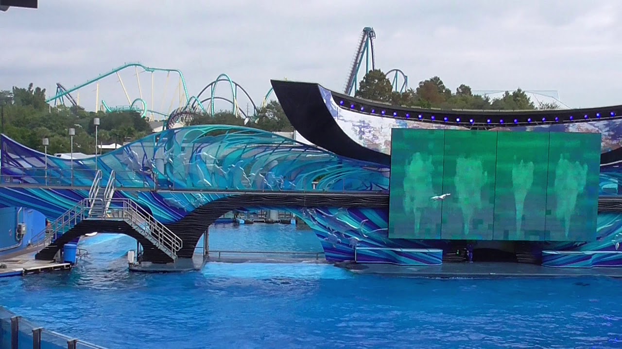 one ocean orca show orlando seaworld