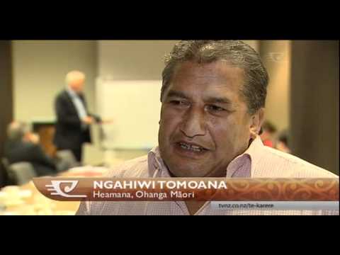 Panel selected to develop Maori economic strategy plan