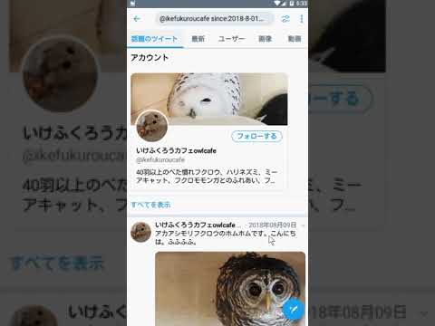 Androidでのtwitter 過去ツイートを遡る方法 期間を指定して検索 Youtube