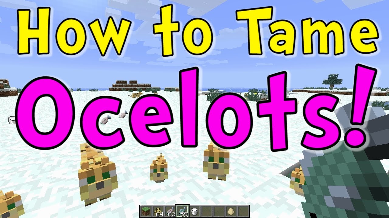Minecraft Quick Tips - How to Tame Ocelots (Kitty Cats) - YouTube