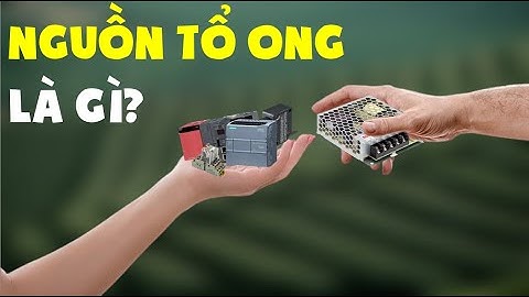 NGUỒN TỔ ONG là gì? Giải thích chi tiết nhất