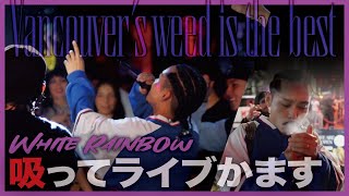 [White Rainbow Pt 3] バンクーバー・ダウンタウンでぶりぶりでライブしてみた ライブ編