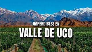 Exploramos las joyas ocultas de VALLE DE UCO MENDOZA
