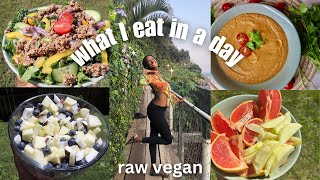 RAW VEGAN 🌱 what I eat in a day to feel good | delicious & easy raw meals