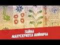 Тайна манускрипта Войнича