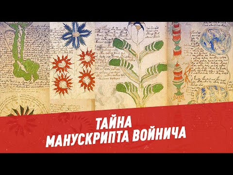 Video: Planter Og Dyr Fra Voynich-manuskriptet Er Fra Amerika - Alternativ Visning